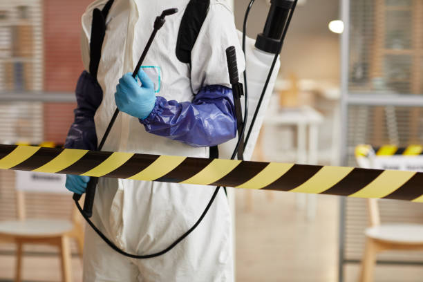 Professional Sewage Cleanup technician working in Tonopah, NV